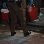 Cops find human organs in buckets