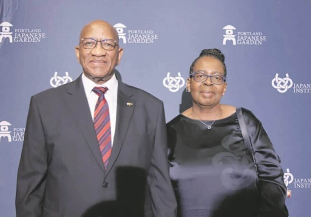 NPA revives assault case against Smuts Ngonyama’s wife for ‘klaaping’ domestic in Tokyo