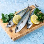 Pilchard herpesvirus detected in sardines as West Coast mass deaths remain under investigation