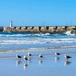 Woman dies in fatal shark attack at East London’s Orient Beach